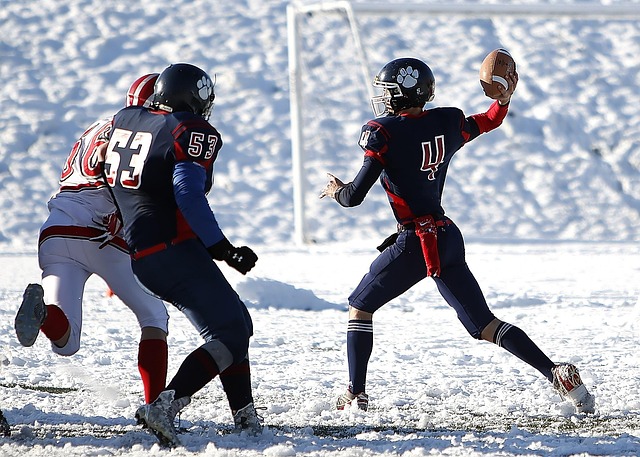 不仅意味着 不仅意味着