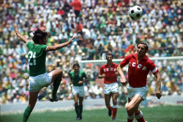 林加德正是 林加德正是